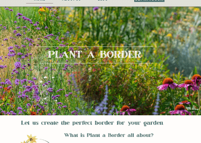 Plant A Border