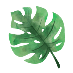 web_design_leaf-clear web_design_leaf clear