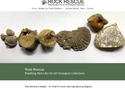 Rock Rescue